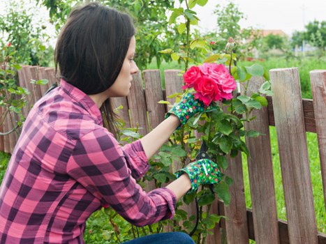 Team members demonstrating eco-friendly trimming practices