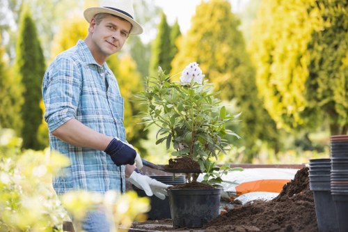 A man wearing a light-colored hat, checkered blue shirt, and gardening gloves is working outdoors in a garden, planting a potted flowering shrub with white blossoms into a bed of dark soil. The garden includes a neatly maintained lawn with lush green grass in the foreground, bordered by flower beds and shrubbery. In the background, tall trees with vibrant green foliage provide a natural backdrop under a bright, sunny sky, indicating warm weather. Gardening tools and empty plant pots are visible on the work surface nearby, emphasizing garden maintenance activities. The scene reflects a well-kept outdoor space suitable for gardening and landscaping services, with an emphasis on planting and soil preparation typical of residential gardens in Stockwell or similar London neighborhoods.