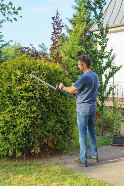 A man engaged in hedge trimming in a residential garden, using a long-handled electric hedge trimmer to shape a large, dense green shrub. The garden features a paved pathway alongside well-maintained